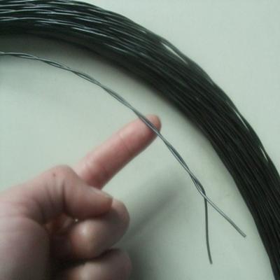 China Twisted Wire/Double Twisted Balck Annealed Iron Wire for sale