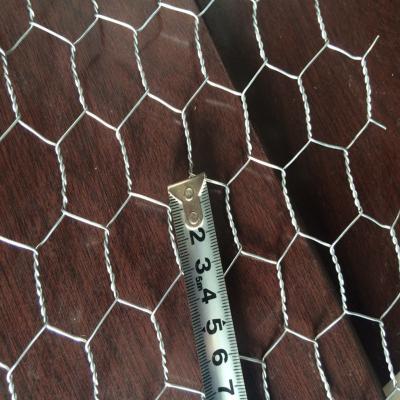 China High Quality Chicken Coop Wire Mesh/Rabbit Mesh for sale