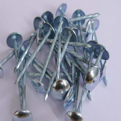 China hot sale umbrella head roofing nails for sale