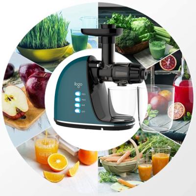 China Hot Selling Reverse Function 3 Functions in 1 Best Cold Slow Juicer Machine Horizontal Slow Juicer Masticating Juicer for sale