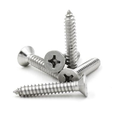 China Customizable Countersunk Head Tapping Screw Phillips Stainless Self Tapping Screws for sale