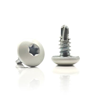 China High Strength Self Tapping Screw With White Painted Torx Truss Head for sale