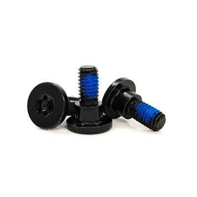 Китай Чёрный цинкованный Торкс TR40 защитный винт     Anti-Tamper Pin & Nylon Precoat Thread продается