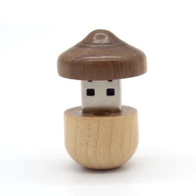 China Wooden USB Drive16GB 32GB 64GB Wooden Instant Pen Drive Memoria USB 2.0 Instant Training Instrument Teachers Gift for sale