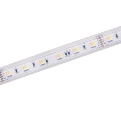 China LANDSCAPE 12v 24v RGBWW 5 in 1 60led 5050 flexible led strip for sale