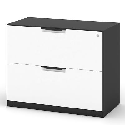 China High Speed ​​Adjustable Durable Steel File Cabinet 2 Drawer Storage Vabinet Desktop Vertical Filing Cabinet (Other) for sale