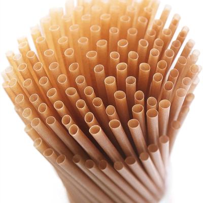 China Sugar Cane Biodegradable Biodegradable Compostable Bagasse Fiber Plant Drinking Straws For Tea Coffee for sale