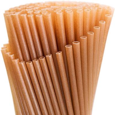 China Plant Fiber Biodegradable Compostable Sugar Cane Straws For Restaurant Beach Home Parties for sale