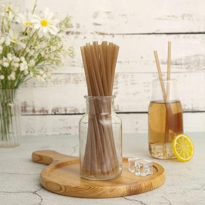 China Biodegradable Biodegradable Person Wrapped Sugar Cane Straws For Restaurant Beach Home Parties No PLA for sale