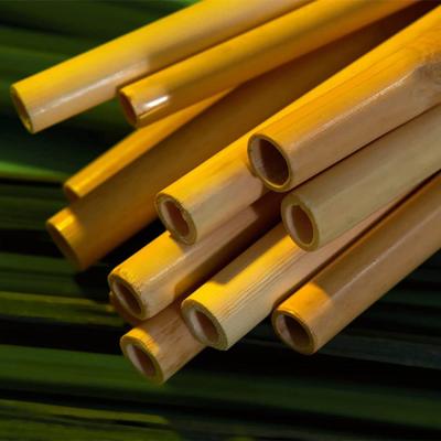 China 100% NATURAL Reed Compostable Biodegradable Drinking Straws for Juice Cocktail Tea Coffee for sale