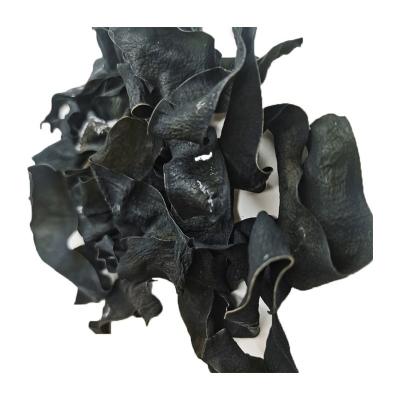 China 2022 Chinese Factory Best Quality Dry Cut Laminaria Seaweed Kelp Slice for sale