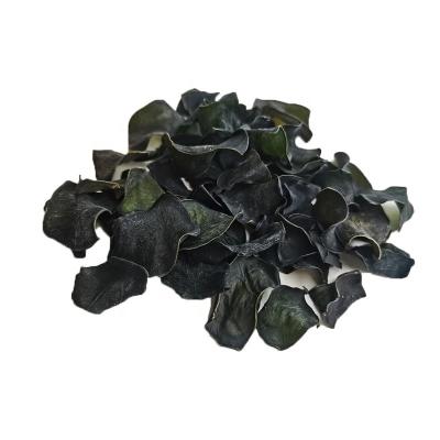 China Dried Best For Selling Healthy Delicious Food Chinese Dried Kombu Kelp Seaweed for sale