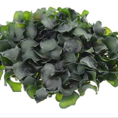 China Freshwater Kelp Kelp Seaweed Premium Quality Dried Organic Seaweed Wakame From China for sale