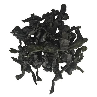 China Kelp knot wholesale hot sale hiyashi dry high quality fresh seeweed seaweed dried seaweed for sale