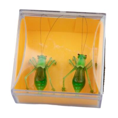 China Good Quality Exquisite Custom Crystal Cricket Souvenir Gift From China for sale