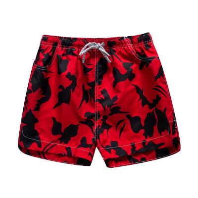 China Waterproof Printed Swimwear/Beach Wear/Girls Board Shorts/Boy's Swimsuit for sale