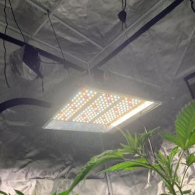 China Grow Lights For Indoor Plants Led CE ROHS Greenhouse 1000W Full Spectrum Indoor Plant Lighting Plant Led Panel Grow Light / Plant Grow Light for sale