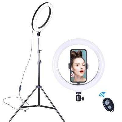 China 2700-6000 Dimmable 8inch 10.2inch Studio Photo Studio Selfie Video Circle Dimmable Usb Beauty Board Led Ring Light With Tripod Stand for sale