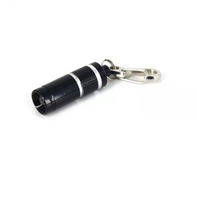 China Camping Small Pocket LED Mini Keychain Flashlights Torch Flashlight 10 Lumens for sale