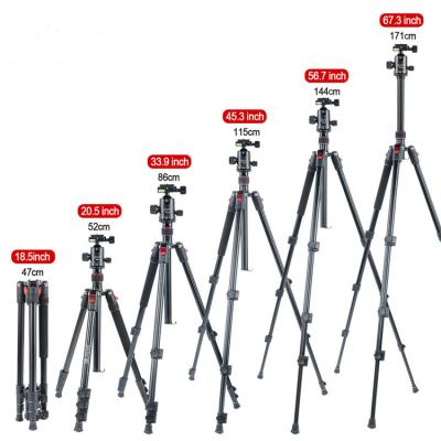 China Heavy Duty Stable Light Professional Camera Travel Tripod Camera Tripod Cheap Digital Camera Tripod for sale