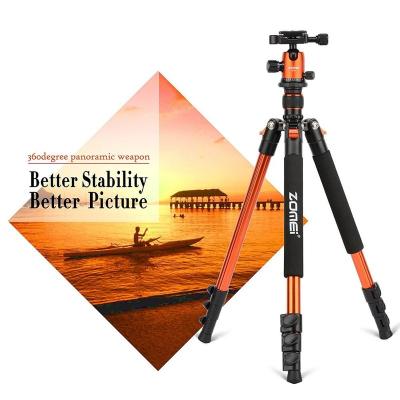 China Professional Zomei Q555 Digital Camera Camera Tripod Aluminum Compact Light Weight With 360 Degree Ball Head And 1/4