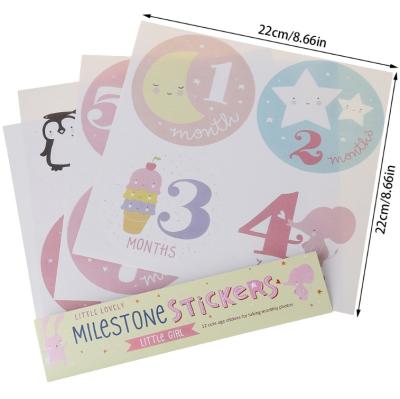 China Wholesale Waterproof+Eco-friendly Newborn Monthly Baby Stickers 2021 New Arrival Wish Milestone Floral Stickers for sale