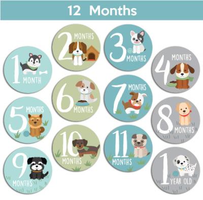 China Wholesale Newborn Monthly Sticker Baby Milestone Stickers Customized Waterproof+Eco-friendly New Design 2021 Popular For First Year Best Gril And Boy B for sale