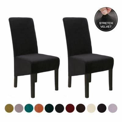 China Durable Luxury High Stretch Spandex Banquet Dining Universal Spandex Chair Cover Covers To Wedding Banquet Chair for sale