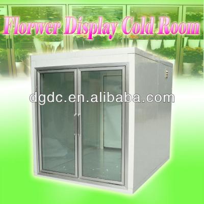 China Scope-in ​​type display cold room display cold room for flower for sale