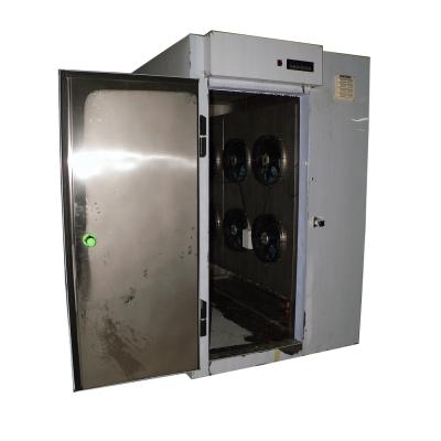 China Commercial Frozen Food Machine Fish Shock Freezer For Deep Freezing for sale