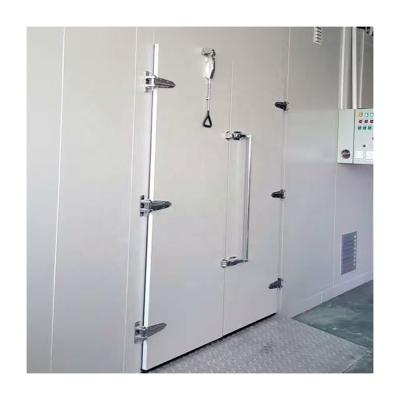 China Container Cold Room Hinged Door With Fire Rated Hardware for sale