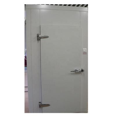 China Hotels Polyurethane Hinged Cold Room Door Cold Storage Door Swing Door for sale