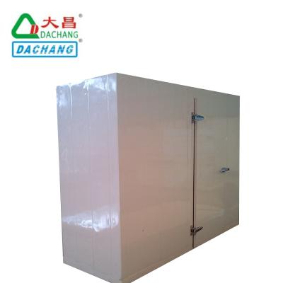 China Hotels Polyurethane Cold Room Door Cold Storage Door for sale