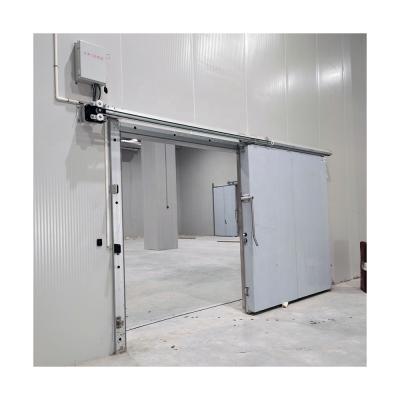 China container polyurethane freezer doors/cold room doors/insulation door for cold storage for sale