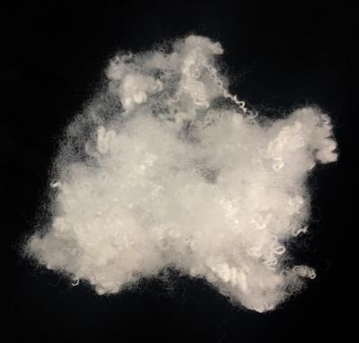 Chine Fibre de polyester conjuguée creuse réutilisée du silicium HCS 7D/15D X 64MM à vendre