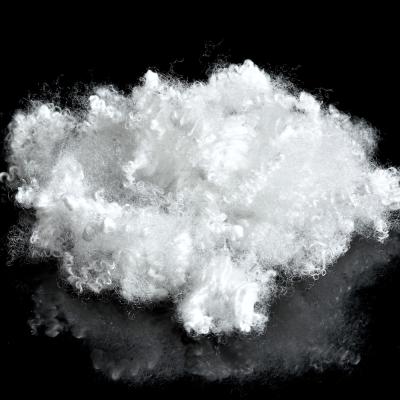 Chine Fibre discontinue de polyesters conjuguée par cavité ignifuge pour le textile à la maison à vendre