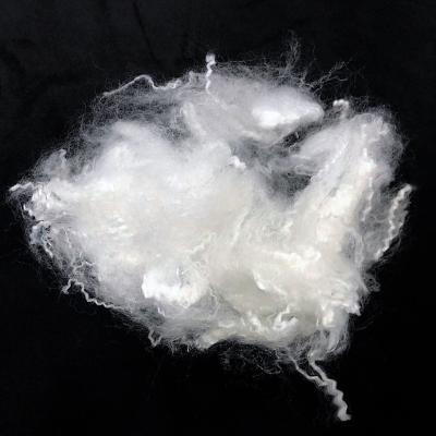 China Hollow Conjugated Siliconized Polyester Fiber 3D 7D 15D 32Mm 51Mm 64Mm Virgin Polyester Staple Fiber Price Inquiry Disco for sale