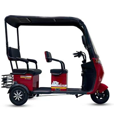 China Electrico Triciclo 1000W Powerful Electric Tricycle for sale