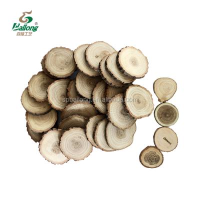 China All World Factory Free Sample 4cm-8cm Direct Diameter DIY Perforated Wood Craft Natural Wood Slice for sale