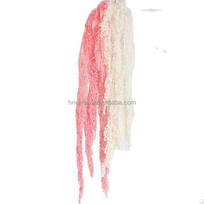 China decorative flowers & EN091 Love-Lie-Bleeding Lover's Tear High Quality Eternal Natural Dry Flower True Preserved Amarantus Braid For Floral Decor for sale