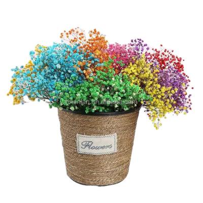 China decorative flowers & Braids EN081 Multiple Color Gypsophila Dried Lavender Flowers Natural Dried Flowers for sale