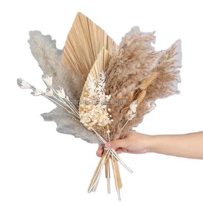 China decorative flowers & Braids EN080 Hot Natural Home Decor Wedding Centerpieces Dry Flower Arrangements Palm Leaves Bridal Bouquet Pampas Grass Dried Flowers for sale