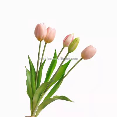 China Wedding / Home Decoration EN023 Enlan Touch Real Latex 5 Soft Heads Flower Tulip Artificial Champagne Parrot White Tulip For Decoration for sale