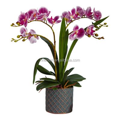 China decorative flowers & Braids High End Real Touch EN060 Artificial Orchid Flower Plant With Gold Pot For Hotel Garden Showroom Shop Home Decoration for sale