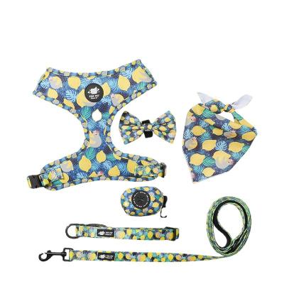 China Custom Hot Selling Pet Supplies Custom Made Dog Collar and Leash Set Six Piece Adjustable Dog Harness Leash and Collar and Bandana Set for sale