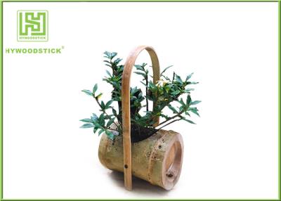 China Attractive Indoor Bamboo Flower Pots For Various Succulents Plants for sale