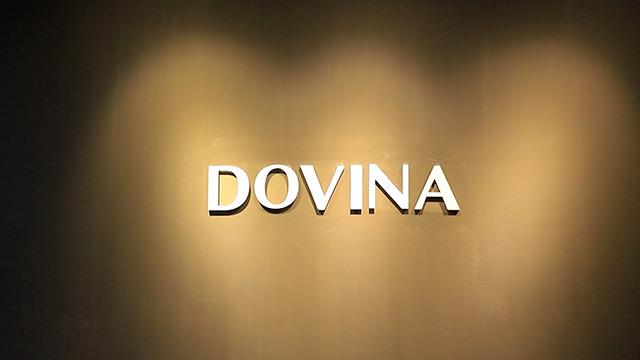 Verified China supplier - Shenzhen Dovina Electronic Technology Co., Ltd.