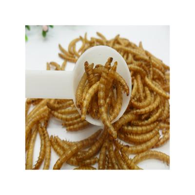 China Good Quality Fish Bird Cat Chicken Dog Factory Direct Sales Low Price Mealworm Cookies Mealworm Powder for sale