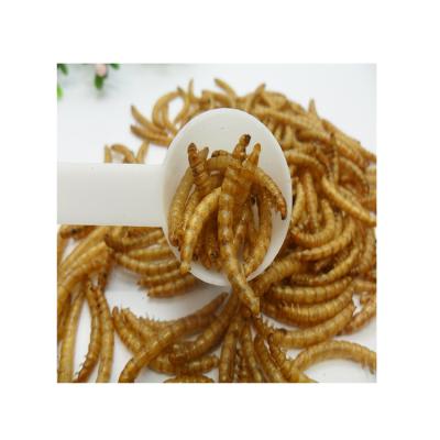 China Fish Bird Cat Chicken Dog Wholesale Factory Price Cheap Pupa Mealworm Hot Selling Yellow Powder for sale