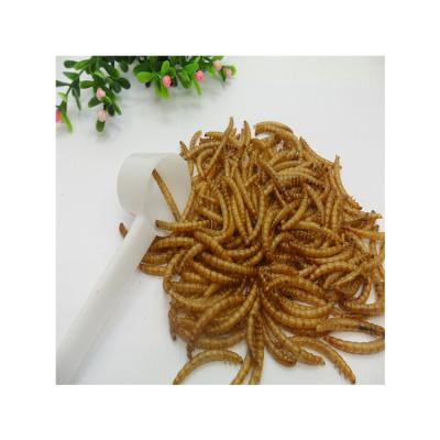 China High Quality Hot Selling Mealworms Liofiliacion Lesser Mealworms From Fish Bird Cat Chicken Dog Factory Direct Prices for sale